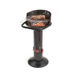 Barbecue Charbon Loewy Black Barbecook