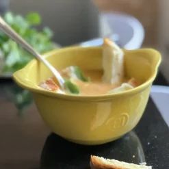 Bol à Gratiner Provence 0,55 L Emile Henry