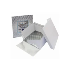 Boîte à Gâteau Carré avec Support 25x25x15 cm PME