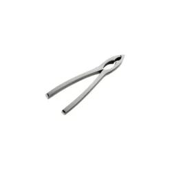 Casse-noix et Pince à crustacés Inox