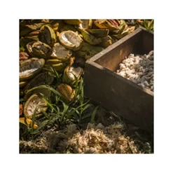 Chocolat de Couverture Noir Manjari 64% 250g Valrhona