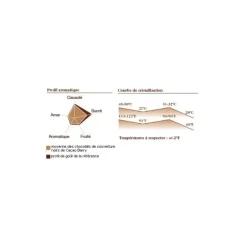 Chocolat Force Noire 50% pistoles 5 kg Barry