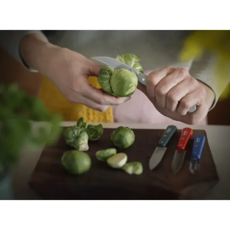 Coffret 3 Couteaux de Cuisine et un Eplucheur Primo Les Essentiels Opinel