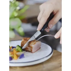 Coffret 4 Couteaux de Table N°125 Pro Bon Appétit + Opinel