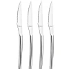 Coffret 4 Couteaux Steak Aurora 22,7 cm Amefa Premiere