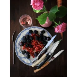 Coffret Panaché 4 Couteaux de Table Table Chic Opinel