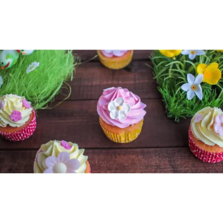 Color'Arôme Rose / Framboise 10g Scrapcooking