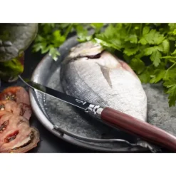 Couteau de Poche Effilé N°12 en Inox Opinel