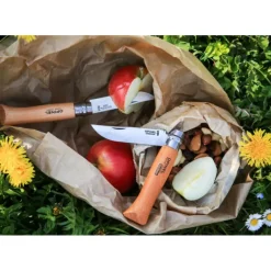 Couteau de Poche N°10 en Inox Opinel