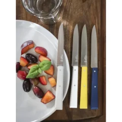 Couteaux de Table (x4) Céleste Bon Appétit ! Opinel