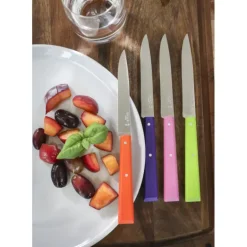 Couteaux de Table (x4) Pop Bon Appétit ! Opinel