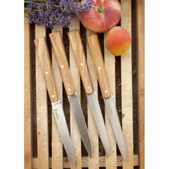 Couteaux de Table (x4) Sud Bon Appétit ! Opinel