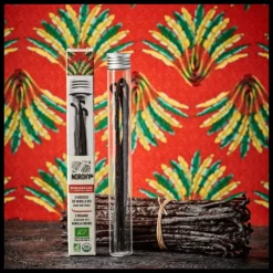 Gousse de Vanille Bio de Madagascar 19 cm (x3)