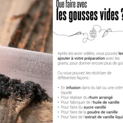 Gousse de Vanille de Nouvelle Guinée Bio (x2) Patisdécor
