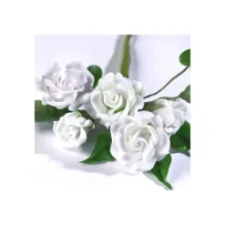 Gum Paste Renshaw Blanc 250 g