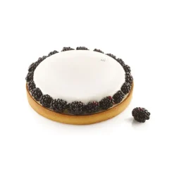 Kit Moule Silicone 1 Tarte Ø 210mm Silikomart Professional