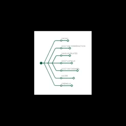 Lactée Caramel, Pistoles Chocolat Couverture 31,1 % 1 kg