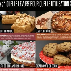 Levure Chimique 60 g Patisdécor