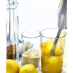 Mixeur Plongeant Bamix M250 - Coffret Black Edition