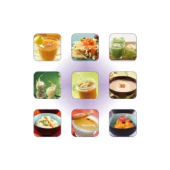 Mixeur Plongeant CMP 250 V.V Robot Coupe