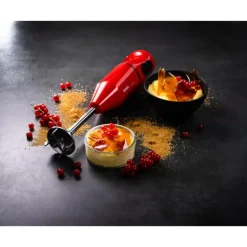 Mixeur Plongeant Sans Fil Cordless Rouge Bamix