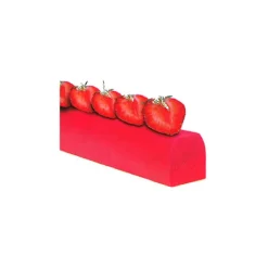 Moule Bûchette (x12)