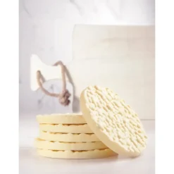 Moule Chocolat Disque Riz Soufflé Ø 99,13 mm (x2) Chocolate World