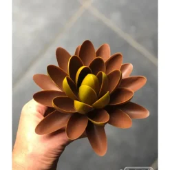 Moule Chocolat Lentille Oblique 62,5 mm (x14) Chocolate World