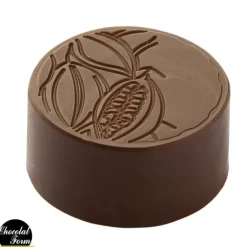 Moule Chocolat Praline Ronde Fève 2,8 x 1,3 cm (x24) Chocolat Form