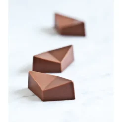 Moule Chocolat Praline Tropicale Buddy Trinidad (x21) Chocolate World