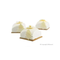 Moule Silicone 8 Carré Sphère 110ml SilikoMart Professional