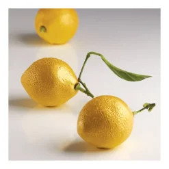 Moule Silicone 8 Citrons 85 ml Cédric Grolet Pavoni