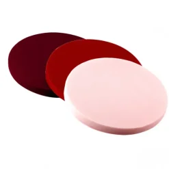 Moule Silicone 6 Fonds de Tarte Biscuit Ø16 x 1 cm 200ml SilikoMart Professional