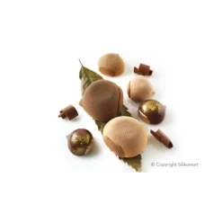 Moule Silicone 6 Marrons 110ml SilikoMart Professional