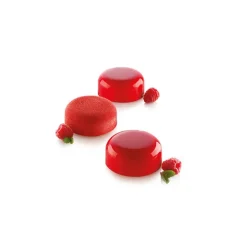 Moule Silicone 6 Minis Moules à Manqué Ø67 x h27 mm 90ml SilikoMart Professional