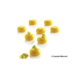 Moule Silicone 35 Rond Bombé 5ml SilikoMart Professional