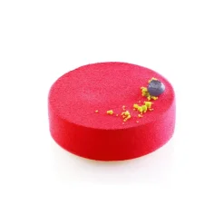 Moule Silicone 15 Ronds Ø10,5 x H4 cm 341ml SilikoMart Professional