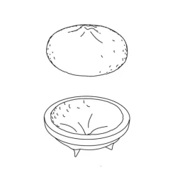 Moule Silicone Citron 1215 ml Cédric Grolet Pavoni