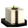 Moule Silicone Cube Tekno 5,8 x 5 cm x H 5 cm (x24) Pavoflex