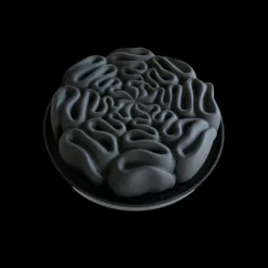 Moule Silicone Dentelle 18 cm x H 5 cm Cédric Grolet Pavoni