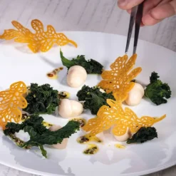 Moule Silicone Gourmand Feuille de Chêne 9,8 x 5,3 x H 0,2 cm (x8) Pavoni