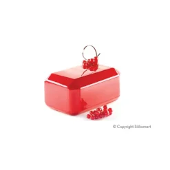 Moule Silicone Lingot Trésor 17x10,4 cm SilikoMart Professional