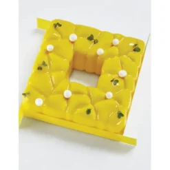 Moule Silicone Tarte Square 15 x H 5,5 cm Pavoni