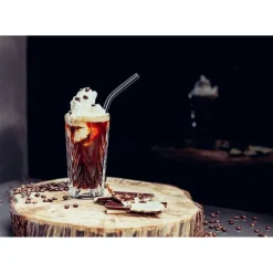 Paille Réutilisable en Verre 23cm courbée x6 HALM