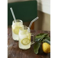 Paille Réutilisable en Verre 23cm courbée x6 HALM