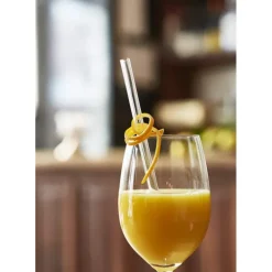 Paille Réutilisable en Verre 20cm droite x4 HALM