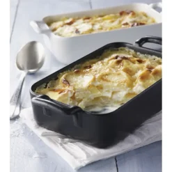 Plat Rectangulaire Noir 19x13 cm Belle Cuisine Revol