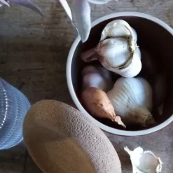 Pot à Ail en Céramique 0,94 l Truffe Emile Henry