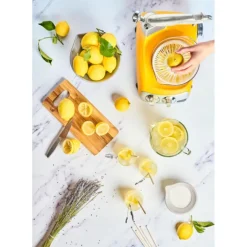 Presse Agrumes pour le robot culinaire ANKARSRUM