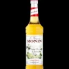 Sirop Fleur de Sureau 70 cl Monin